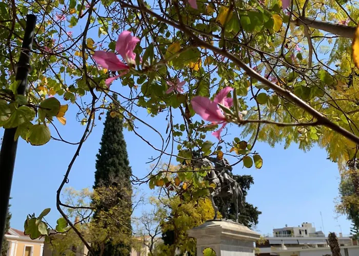 Amarillo Apt. Downtown